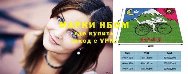 прущие грибы Абинск