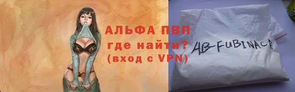 прущие грибы Абинск
