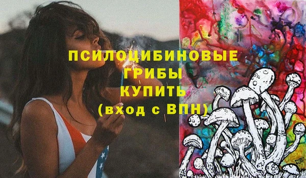 герыч Алексин