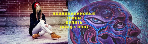 герыч Алексин