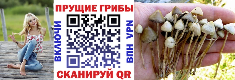 Галлюциногенные грибы MAGIC MUSHROOMS  Норильск 